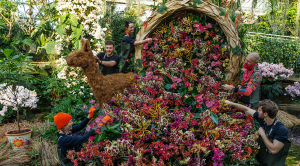 Kew Orchid Festival Celebrates Peru's Unique Biodiversity